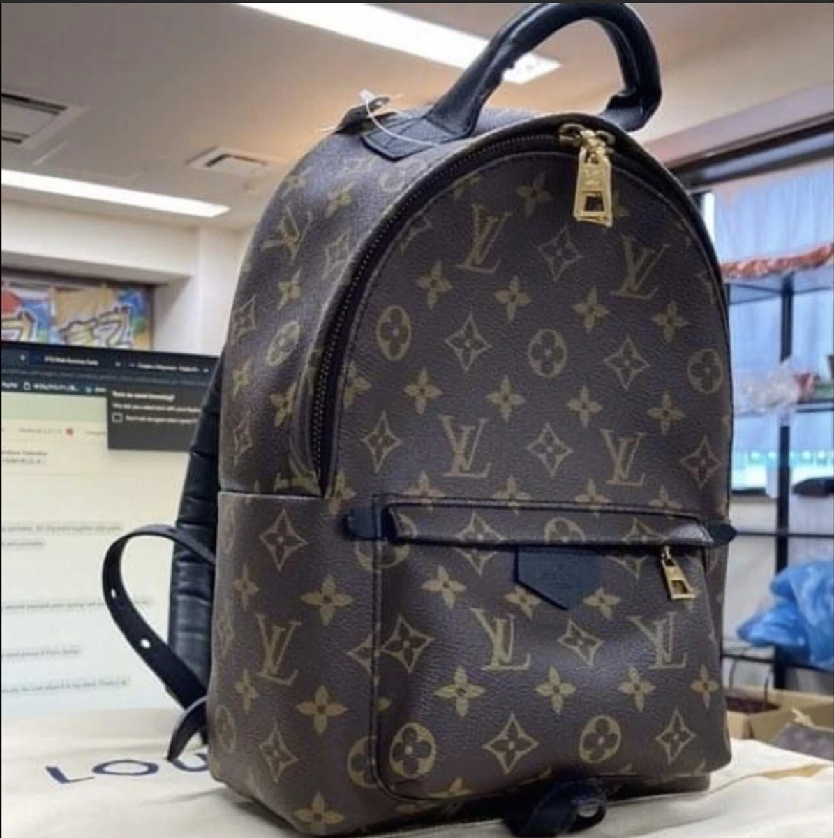 Louis Vuitton Palm Springs Monogram (updated Zipper) mm