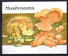 Champignons Afghanistan 1998 (2) bloc oblitéré