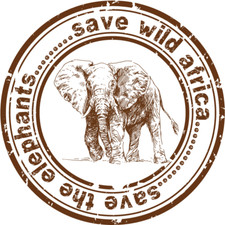Protect Wildlife Elephant Nature Africa Animal Car Bumper Sticker Decal