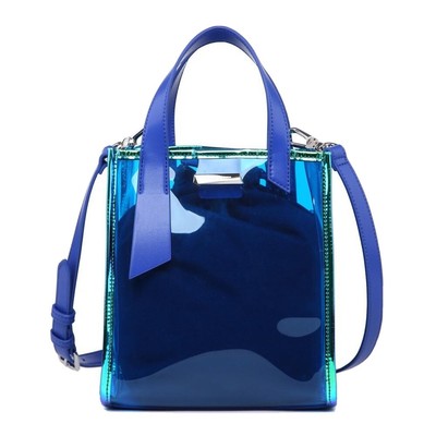 charles & keith transparent bag