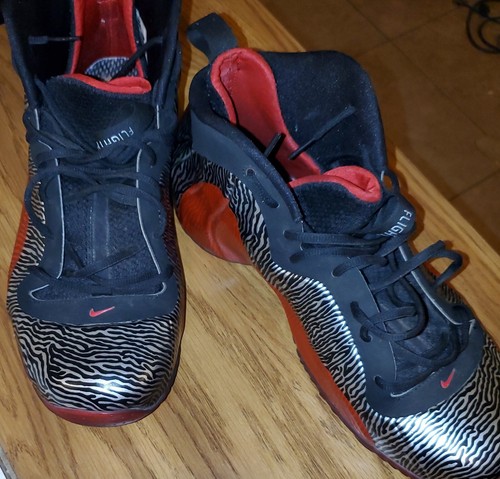 flightposite exposed zebra