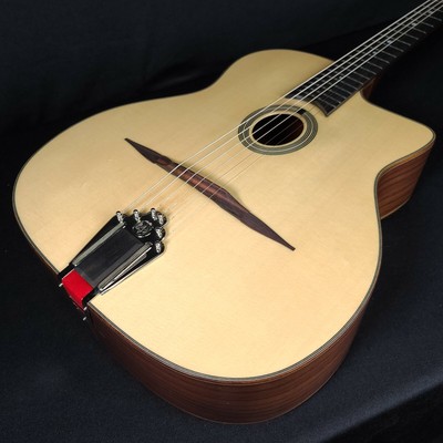 gypsy jazz guitar case