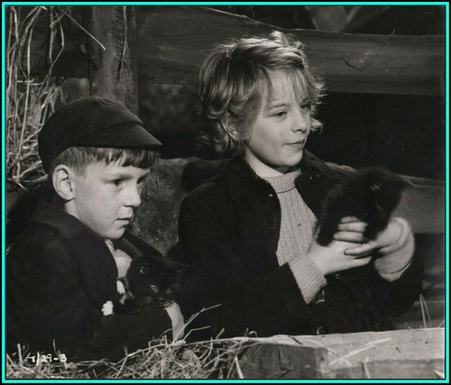 DIANE HOLGATE ALAN BARNES In Whistle Down The Wind Original Photo diane-holgate-alan-barnes-in-whistle-down-the-wind-original-photo