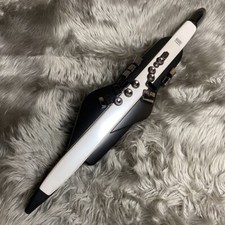 Roland Aerophone AE-20 Wind Synthesizer