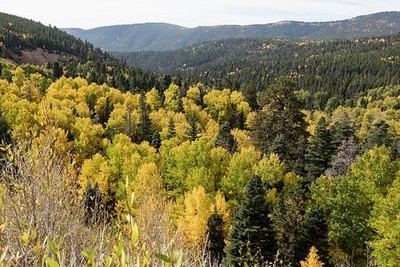 Walsenburg Colorado 2015 Fall Aspens Evergreens Hu�rfano County Landscape