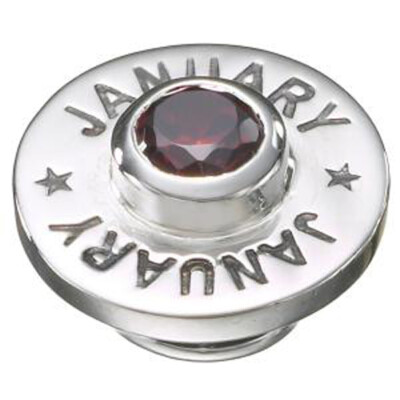 Kameleon Jewel Pop January BirthPop KJP420