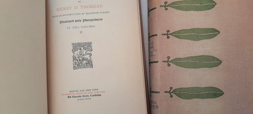 1897 Walden w/dj Henry David Thoreau Two Volumes Illustrated Sarah Whitman - Picture 19 of 24