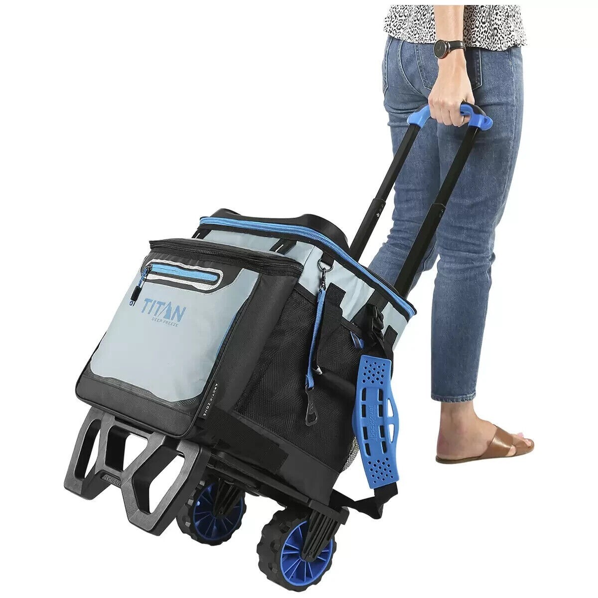 titan collapsible rolling cooler