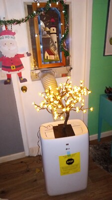 tree of life lighted