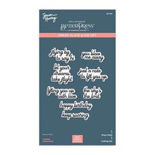 Spellbinders Press Plate  Die Set - Sky's the Limit Collection - Soaring Sentim