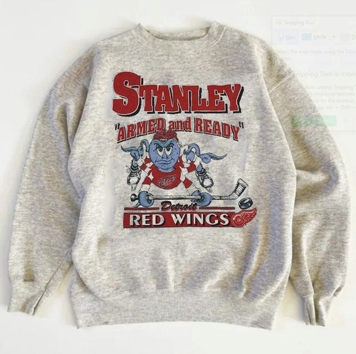 Detroit Red Wings NHL cartoon graphic ash Sweatshirt men women KV21778