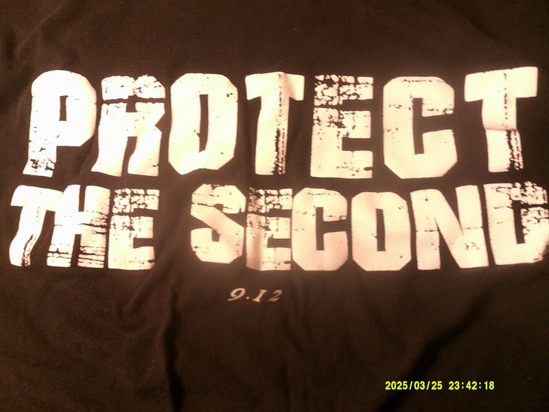 Protect the Second-Black Adult Small T shirt 9.12