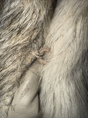 Chaqueta Abrigo Vintage D'Esprit Imitación Piel y Tejido Marrón Tostado Crema Para Mujer - Imagen 2 de 6