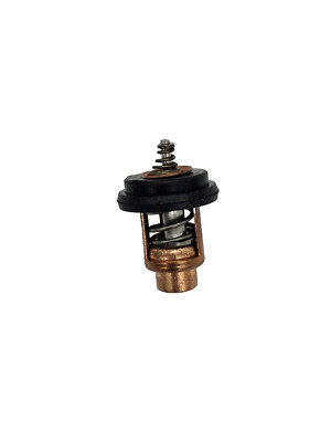 Thermostat für Mercury Mariner 2,5PS 3,5PS 4PS 5PS 6PS 4Takt Außenborder