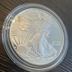 PROOF American Silver Eagle with Case - 1 oz .999 Silver Verified - 2021 - Lot C
