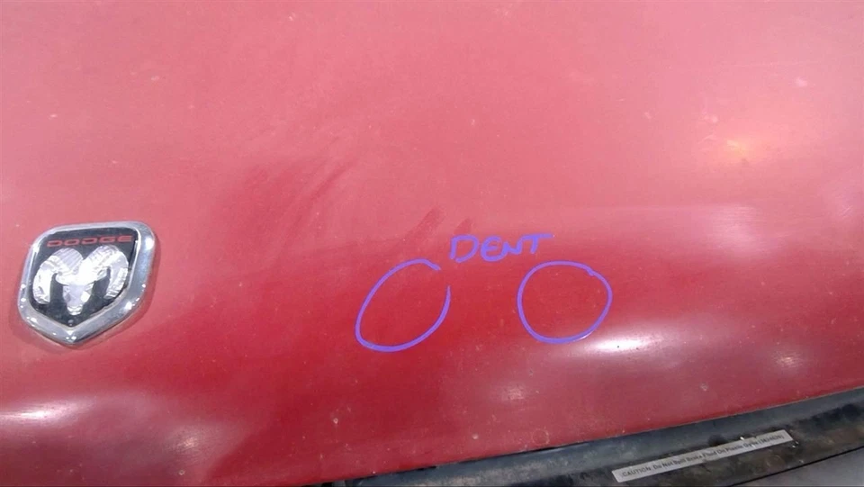 (LOCAL PICKUP ONLY) Hood Fits 98-99 DODGE 1500 VAN 1213532 Foto 2 de 4