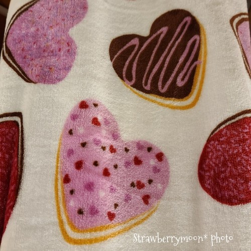 Deco Valentines HEART Donuts Soft Oversized Throw Blanket Home Decor 50"x70" New - 第 8/10 張圖片