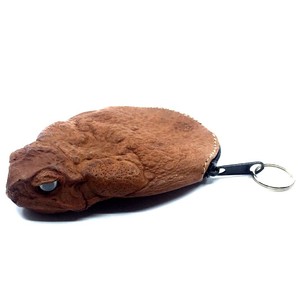 toad coin purse