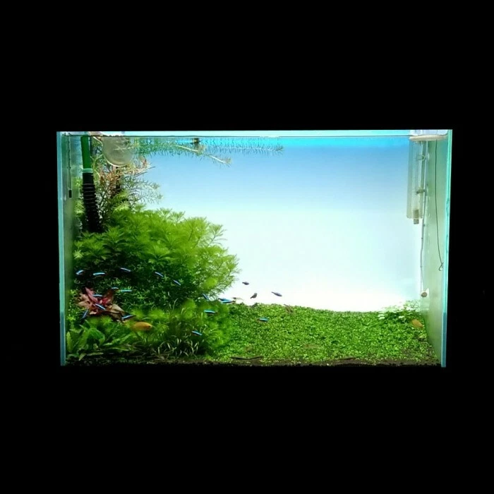 Picture 6 of 11