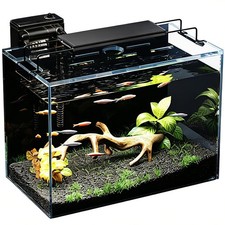 5 Gallon Fish Tank Aquarium Kit with Filter, LED Light with Timer, Lid, Sipho...