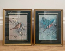 Set of 2 framed prints depicting birds - Robin and Kingfisher by Basil Ede
