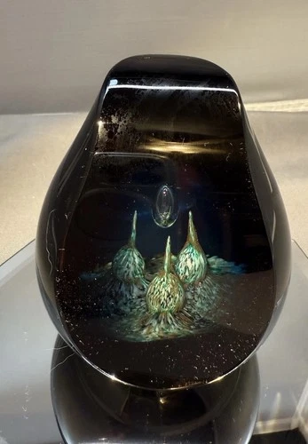 Caithness Scotland 3.75" Paperweight Nautilus Pattern Signed  #439/500