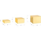 Set of 3 Glossy Gold Acrylic Cube Display Nesting Risers with Hollow ...