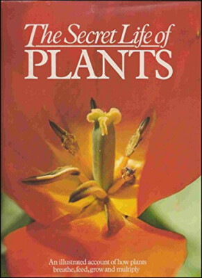Secret Life of Plants  by Beckett, Gillian