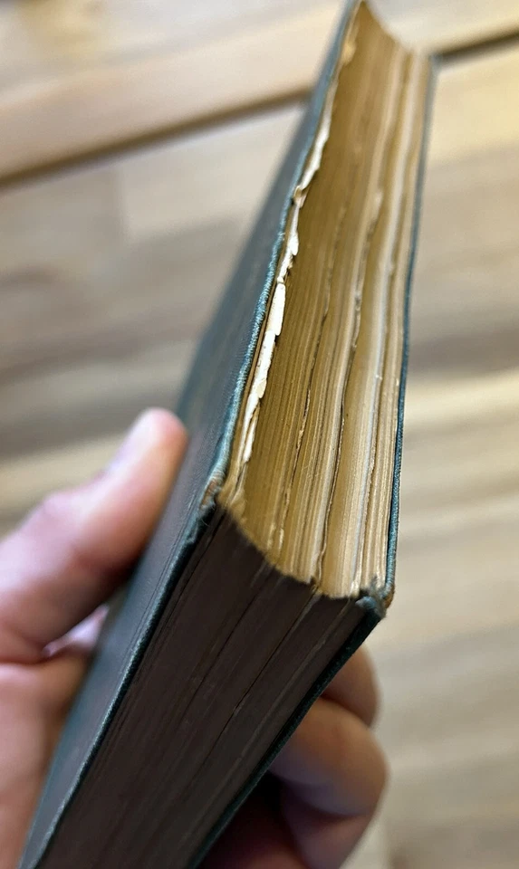 Bodines or Camping on the Lycoming 1879 Thad S. Up de Graff 1st Ed. RARE Foto 4 de 4