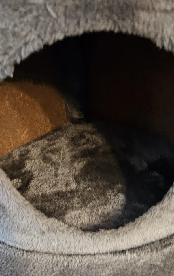 Katzen Kratzbaum in grau, Maße: Höhe ~1.26m / Breite: ~63 cm - Bild 3 von 4