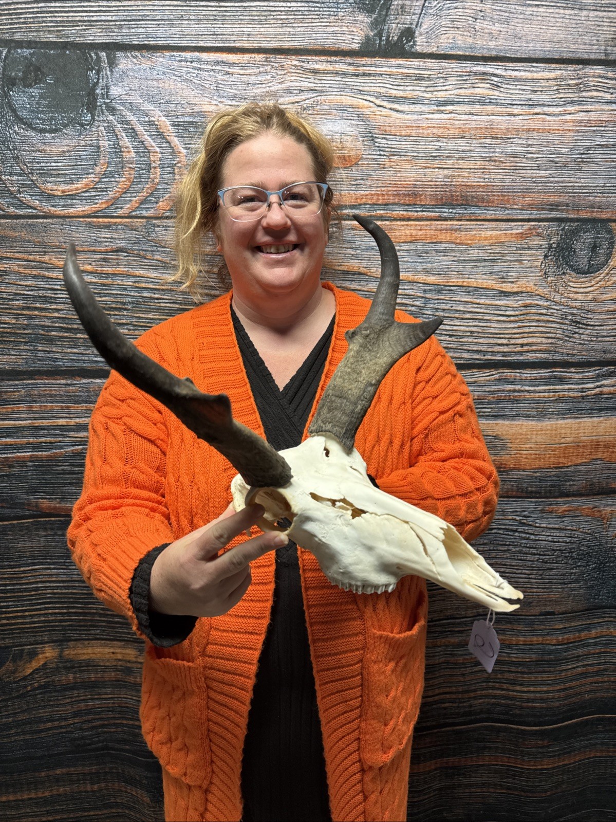 Pronghorn Antelope Skull Animal Mount Cabin Western Yard Decor Head Art Craft