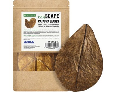 Seemandelbaumblätter ARKA mySCAPE Catappa Medium 16 - 20 cm 10 Stück natürliche 