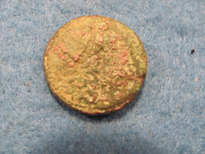  Scarce  bronze of the  Brettian League / Italy 215-205 B.C.