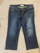 Vigoss The Chelsea Capri Jeans Plus Size 18  Stretch embroidered embellished