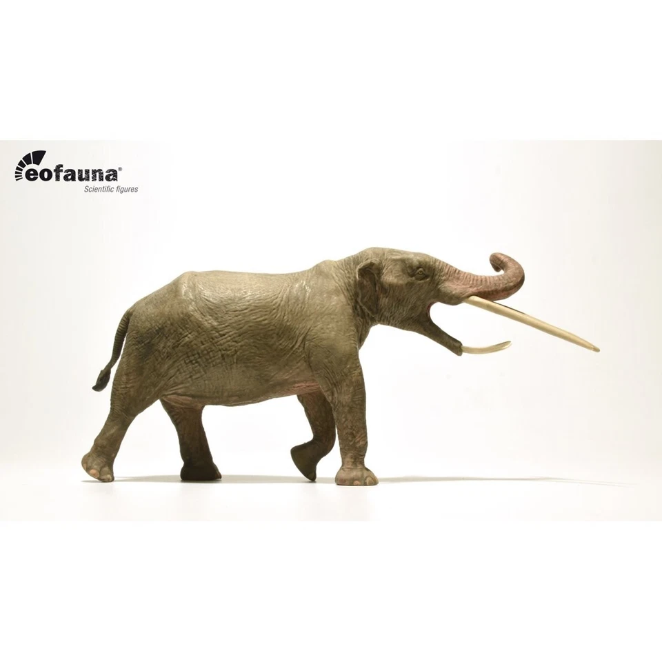 Eofauna Konobelodon atticus Model 1:35 Scale - Modello di elefante preistorico - Immagine 3 di 4
