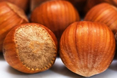 1 Kg Haselnüsse Premium XL - für Feinschmecker - 19mm+ - Neue Ernte - Erste Wahl