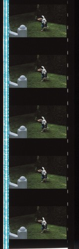 Alice in Wonderland 2010 35mm Film Cell strip very Rare var_b - 第 9/77 張圖片