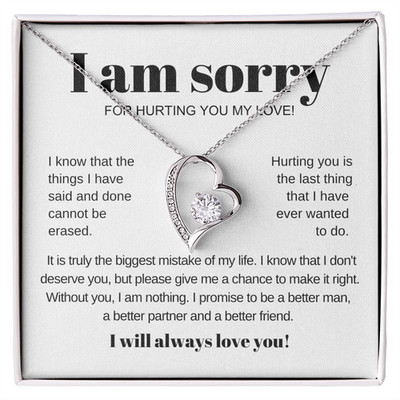 I am sorry apology heart pendant Necklace forgiveness Heartfelt gift for her
