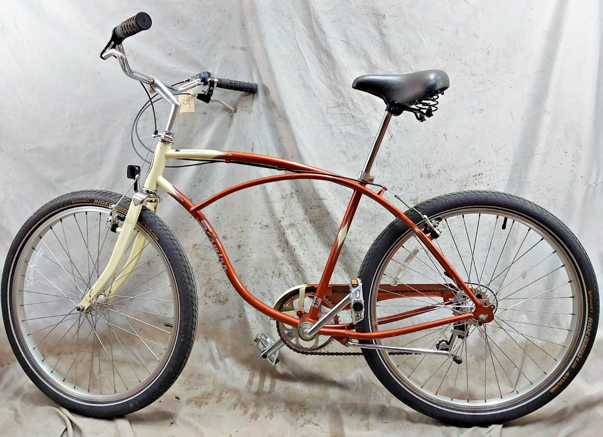 2000 Schwinn Cruiser6 Cruiser Bike 19