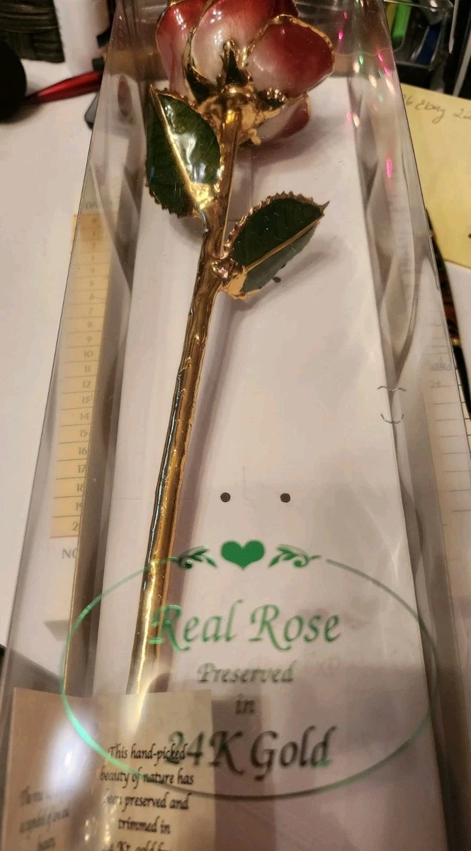 25+ 24k Golden Rose for sale | Updated Oct 2026