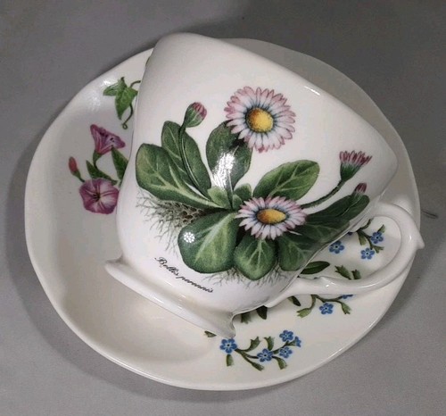 VINTAGE WHITTARD OF CHELSEA EST 1886 BONE CHINA CUP & SAUCER WILD FLOWER DESIGN - Picture 8 of 21