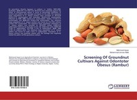 Screening Of Groundnut Cultivars Against Odontoter Obesus (Rambur) Mahmood Ayyaz