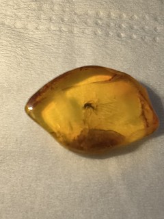 Bernstein Inkluse Einschluss