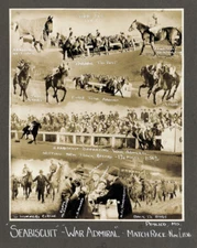 SEABISCUIT & WAR ADMIRAL - 8X10 MATCH RACE HORSE RACING PHOTO COLLAGE!