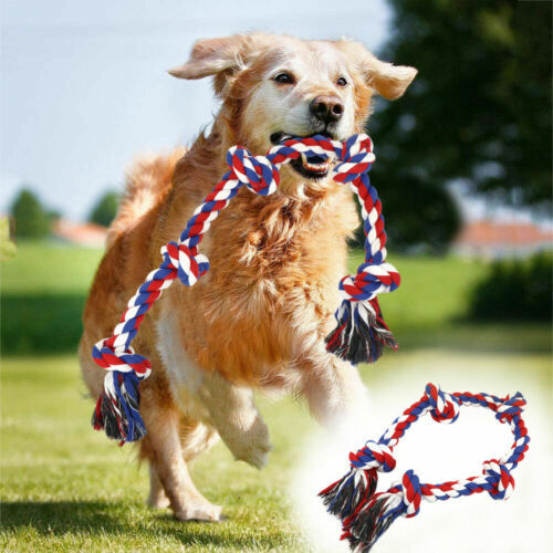 Quietschendes Hundespielzeug Aus Naturkautschuk – Für Aggressive Kauer, Mittelgroße & Große Hunde