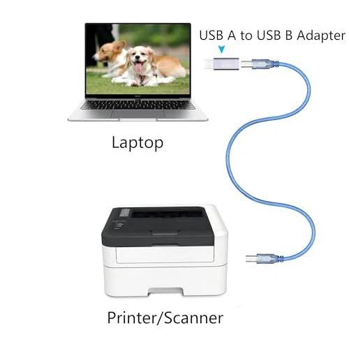USB 2.0 B Type Connector Adapter, USB USB A Male to USB B (MIDI) Female - 2Pcs - Image 3 of 4