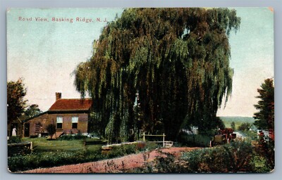 BASKING RIDGE NJ ROAD VIEW ANTIQUE POSTCARD | eBay