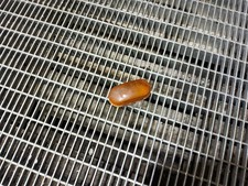 Suzuki Jimny 2005 Blinker Frontkotflügel Licht 010175 SKE48662 43962