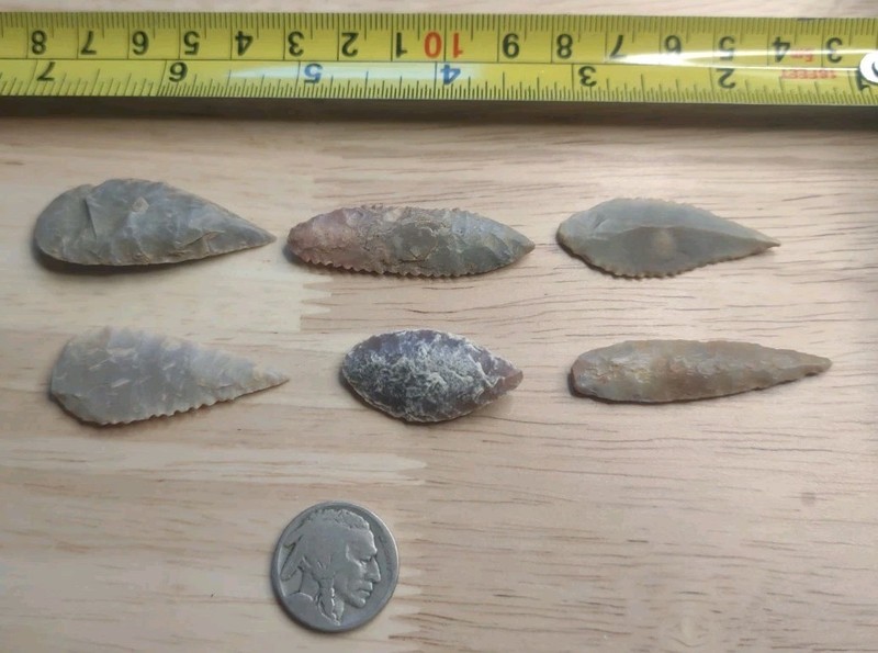 Neolithic Period  Arrowheads Sahara Desert Africa 6 Willow Leaf Nice 