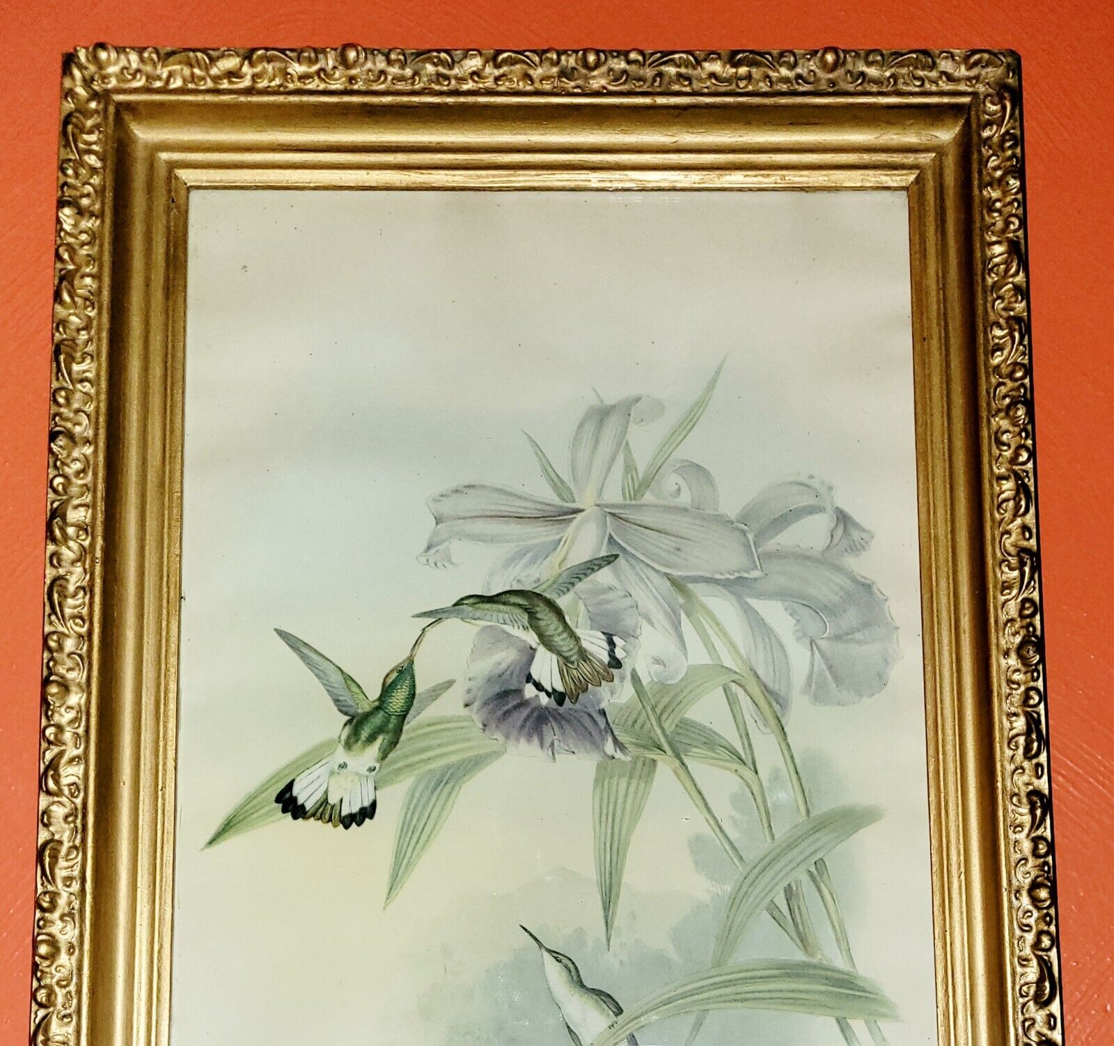 Picture 3 of 24